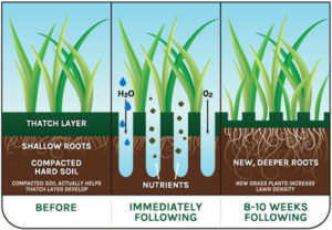 Turf Grass Aeration | Always Green of Cape Cod